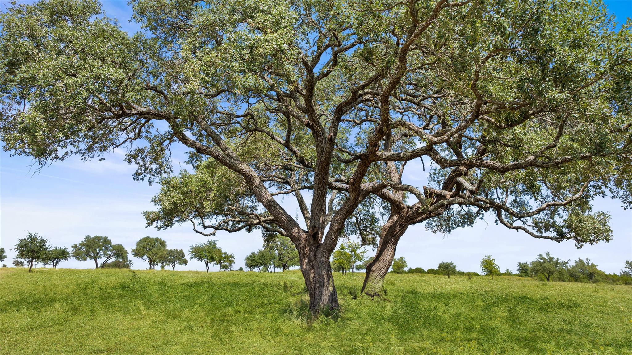 960 Gipson Rd, Johnson City, TX 78636