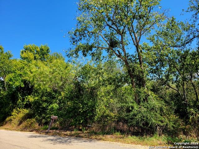 TBD Dale Ln Ln, Dale, TX 78616