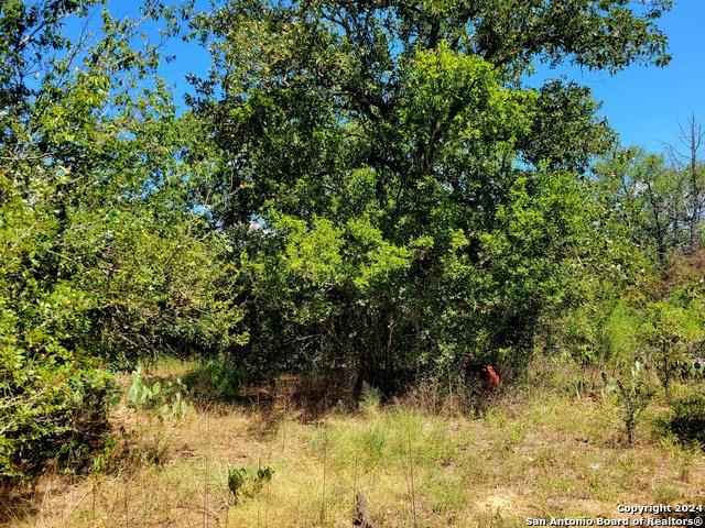 TBD Dale Ln Ln, Dale, TX 78616