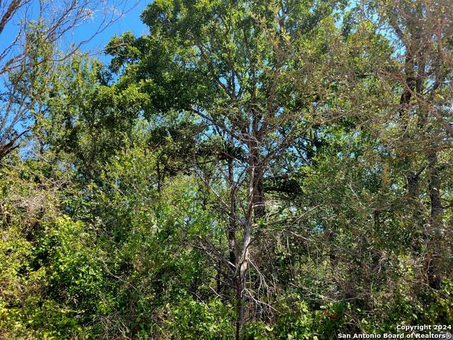 TBD Dale Ln Ln, Dale, TX 78616