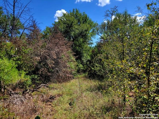 TBD Dale Ln Ln, Dale, TX 78616