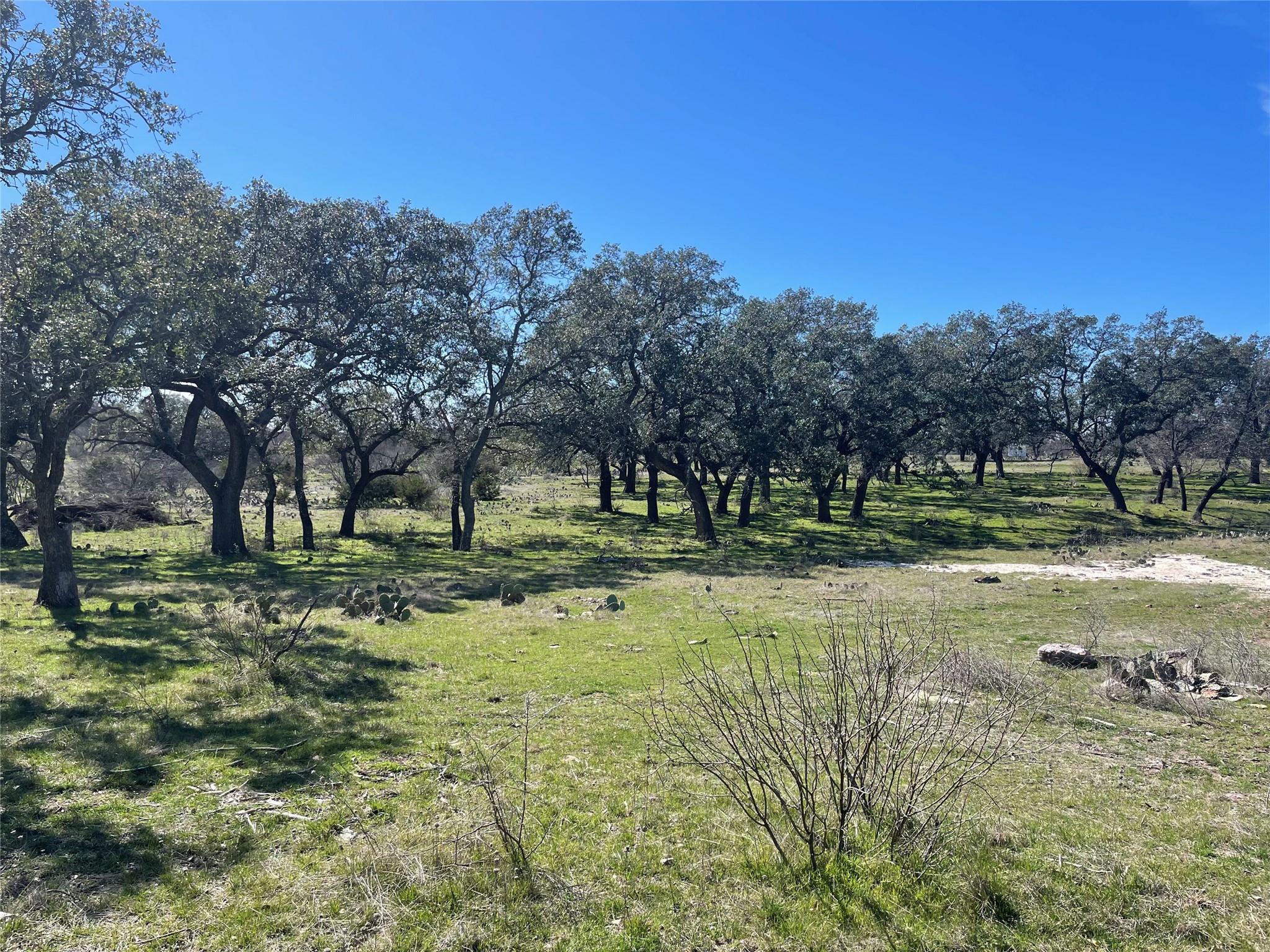 483 Rocky Hollow Rd, San Saba, TX 76877