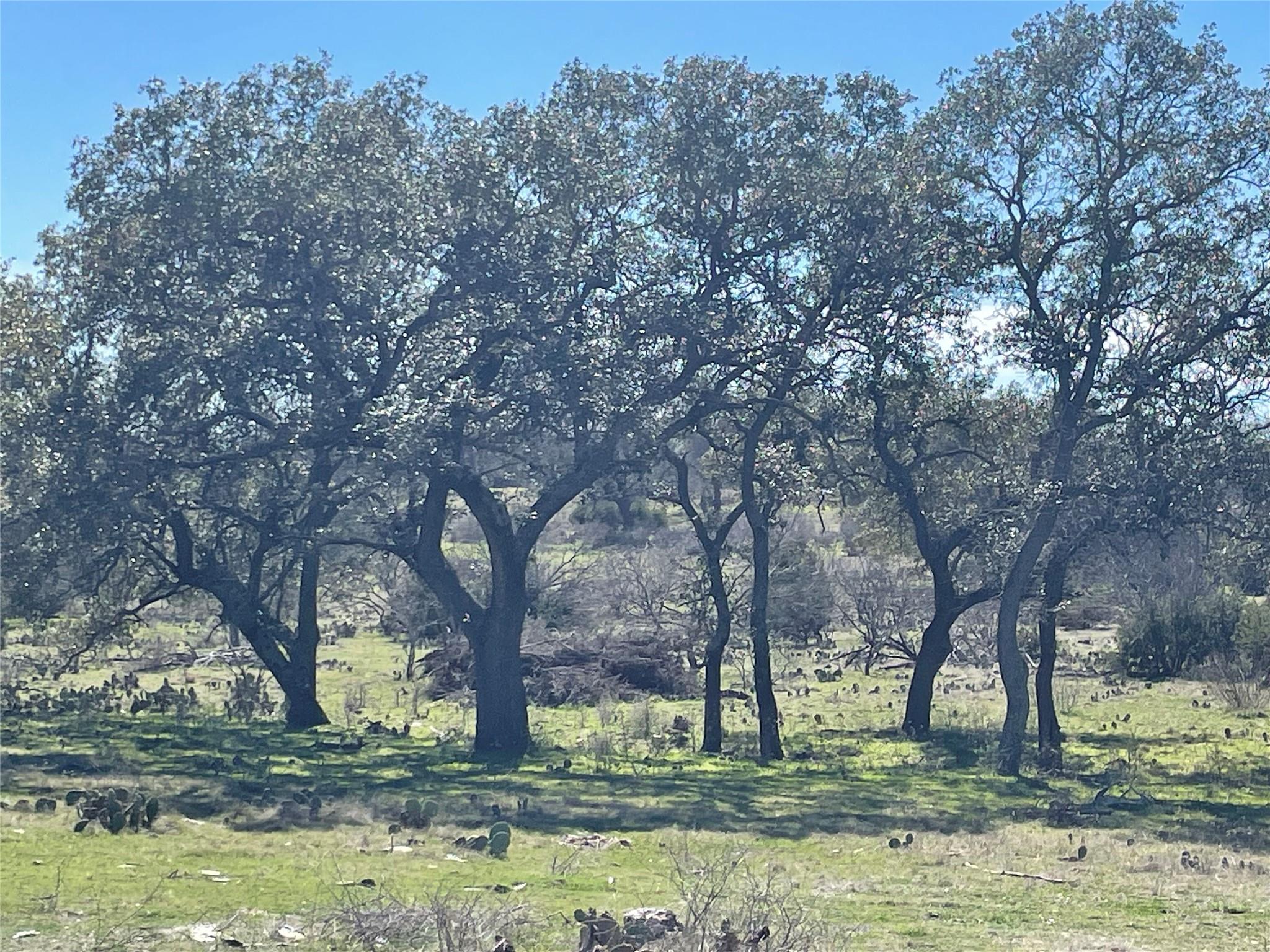 483 Rocky Hollow Rd, San Saba, TX 76877