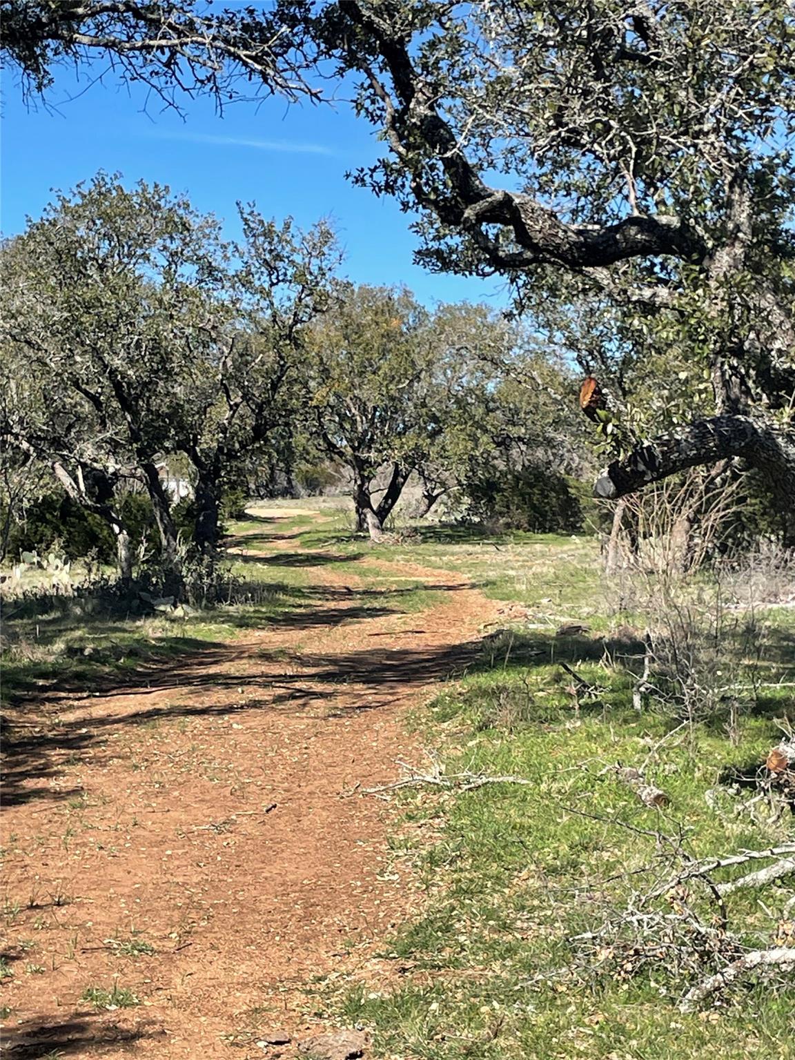 483 Rocky Hollow Rd, San Saba, TX 76877