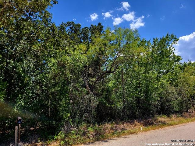 TBD Dale Rd, Dale, TX 78616