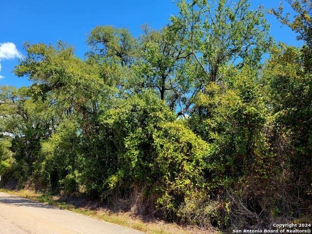 TBD Dale Rd, Dale, TX 78616