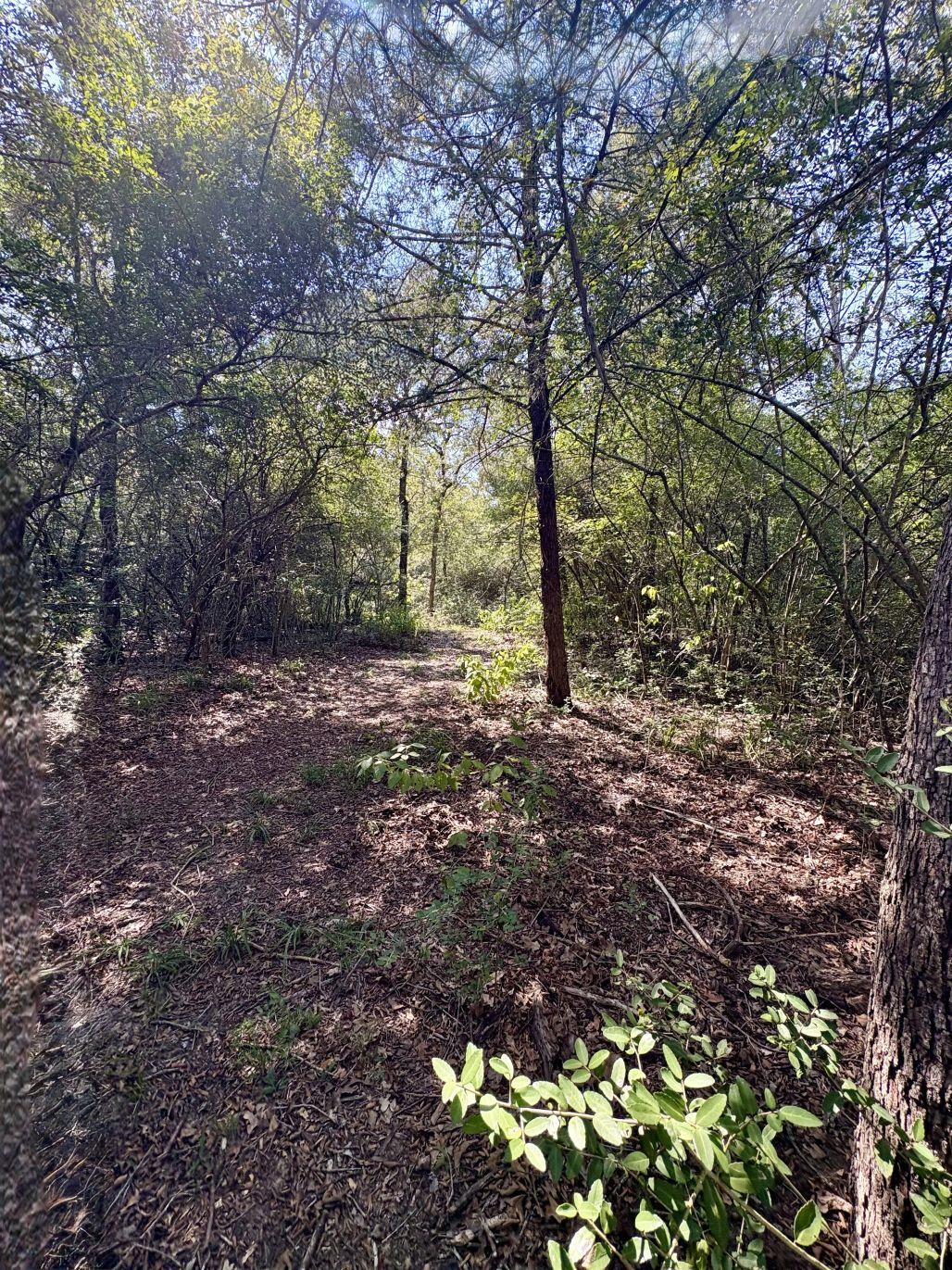 8954 County Road 353, Gause, TX 77857