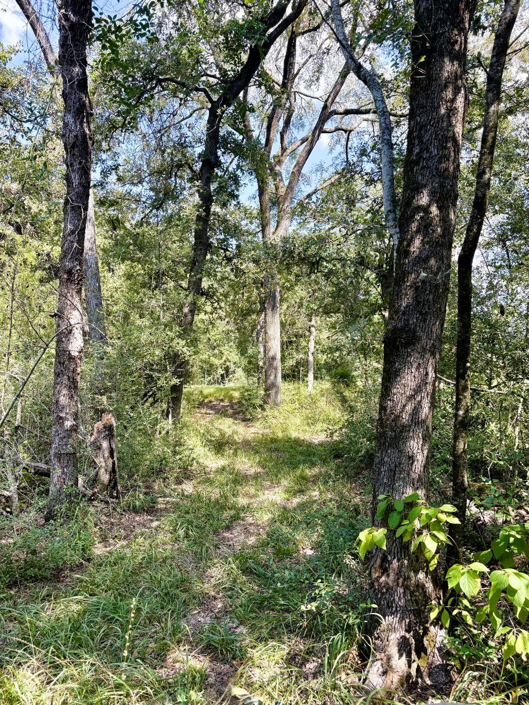 8954 County Road 353, Gause, TX 77857