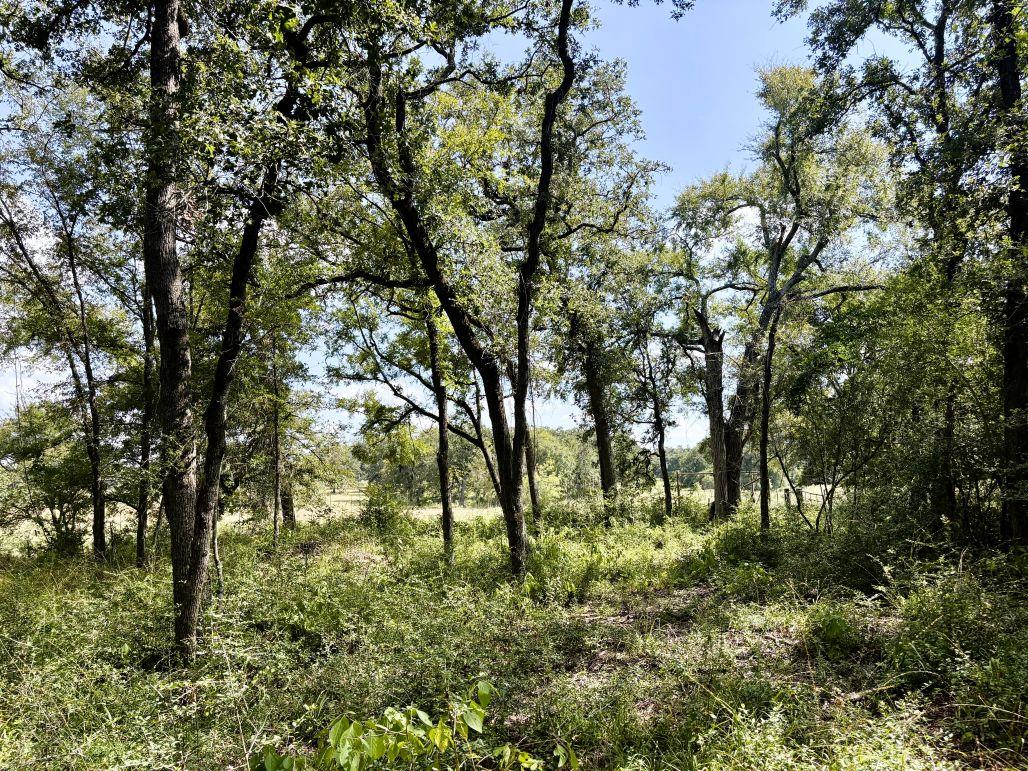 8954 County Road 353, Gause, TX 77857