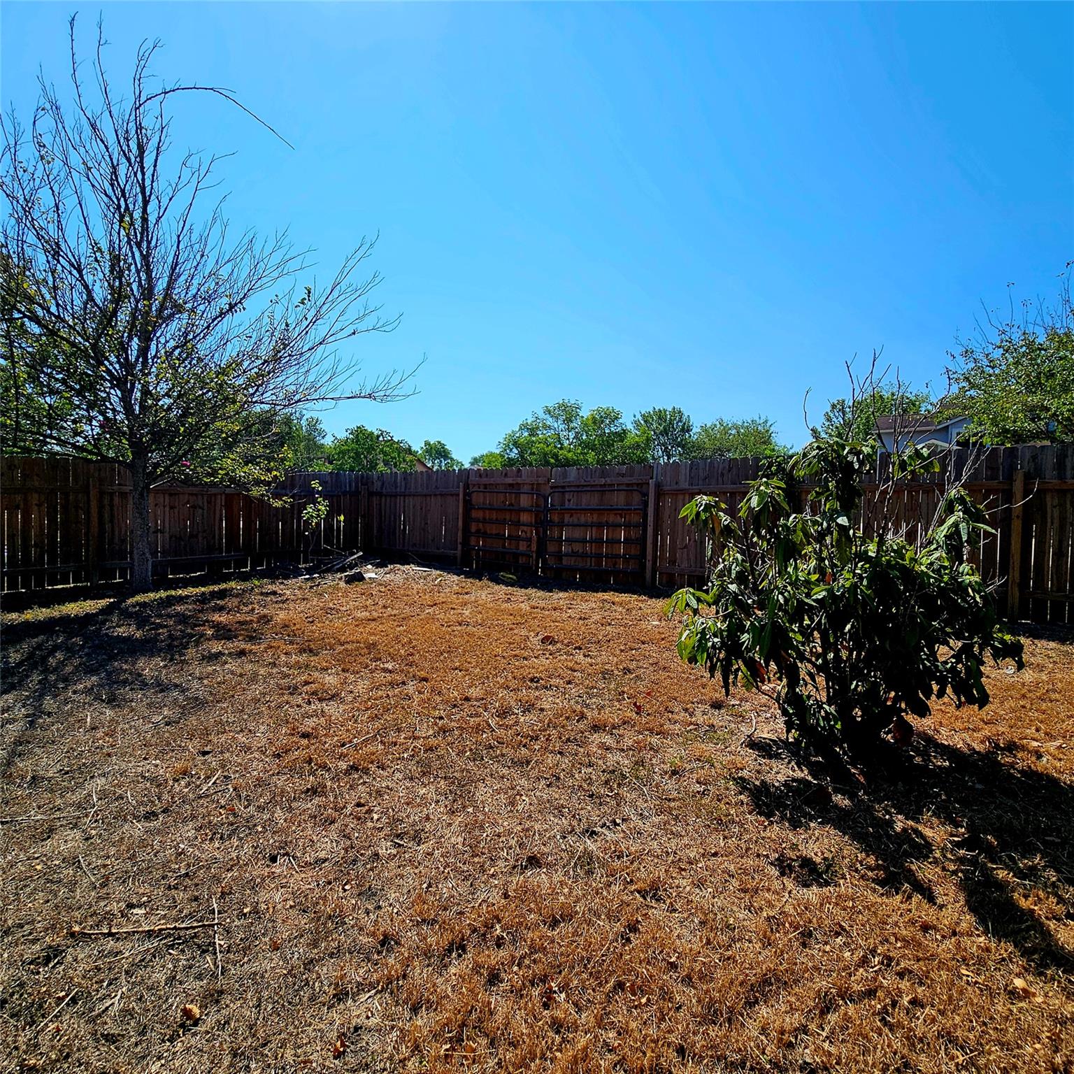 409 El Secreto St, Buda, TX 78610