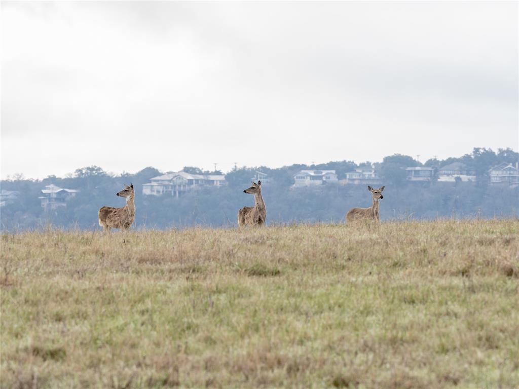 4 Creek Hollow Way, Spicewood, TX 78669