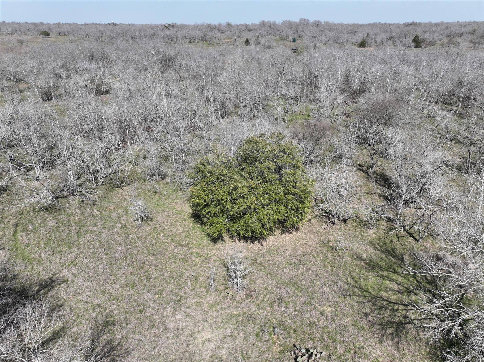 TBD Lot 8 CR 424 Rd, Waelder, TX 78629