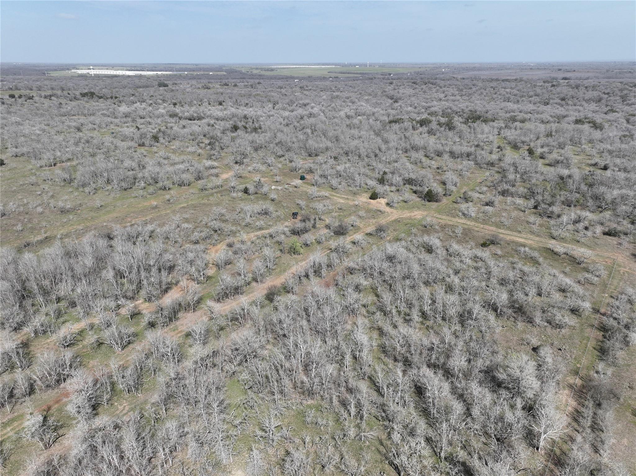 TBD Lot 8 CR 424 Rd, Waelder, TX 78629