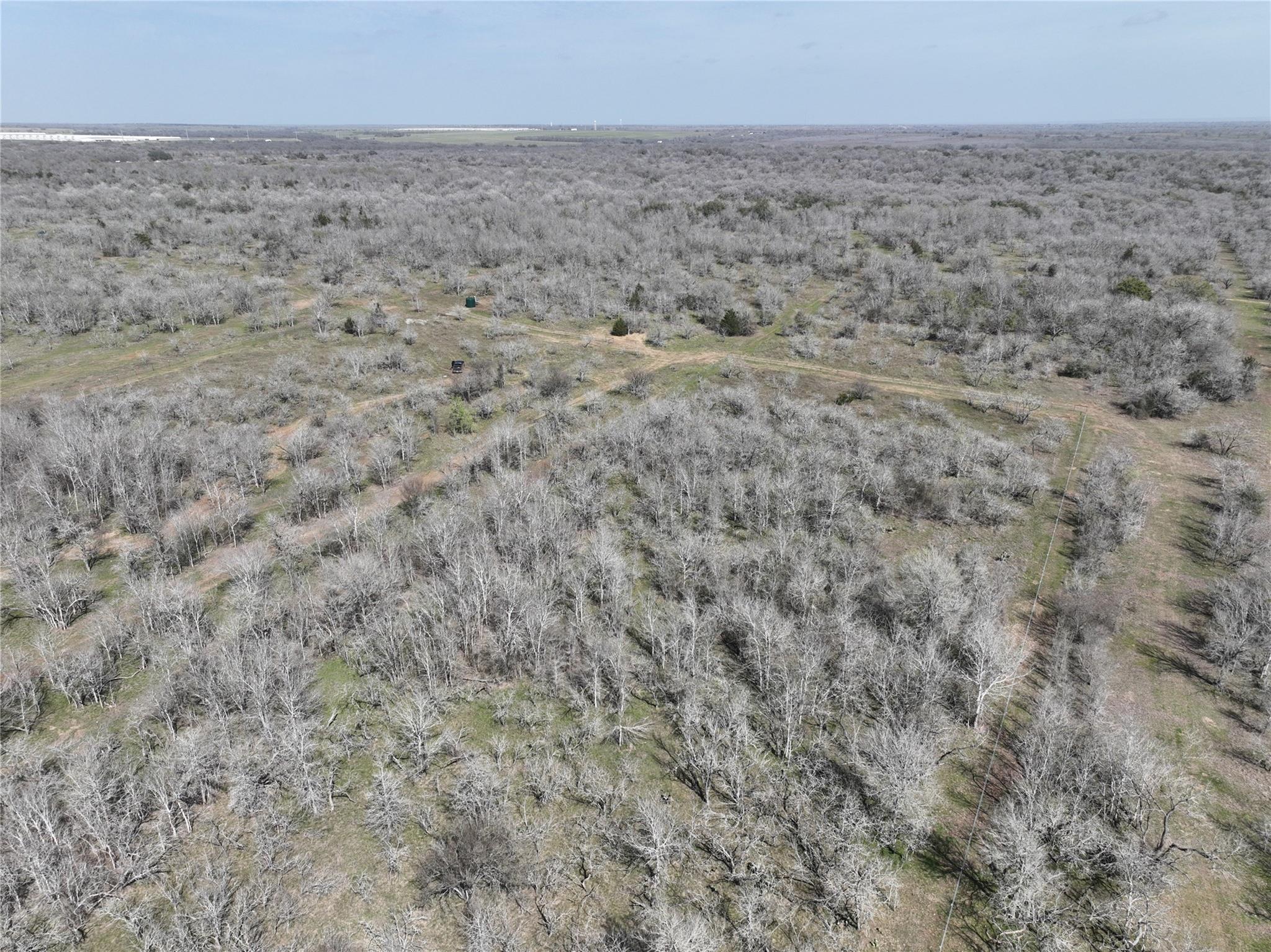 TBD Lot 8 CR 424 Rd, Waelder, TX 78629