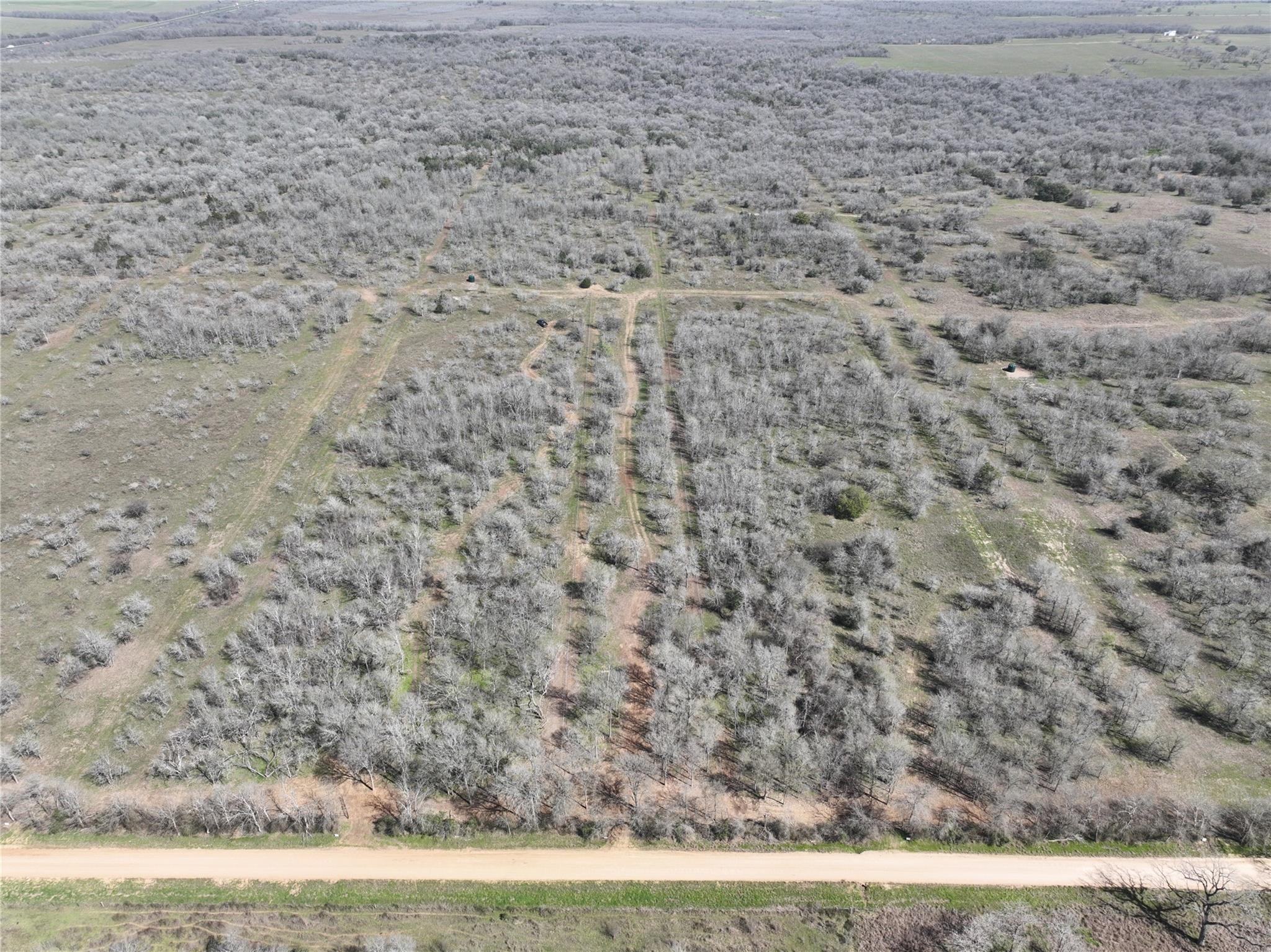 TBD Lot 8 CR 424 Rd, Waelder, TX 78629