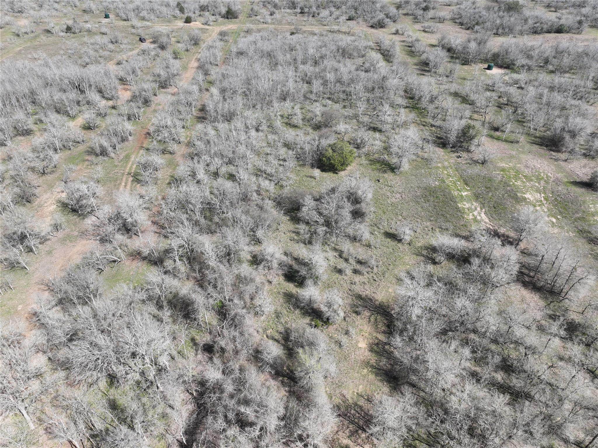 TBD Lot 8 CR 424 Rd, Waelder, TX 78629