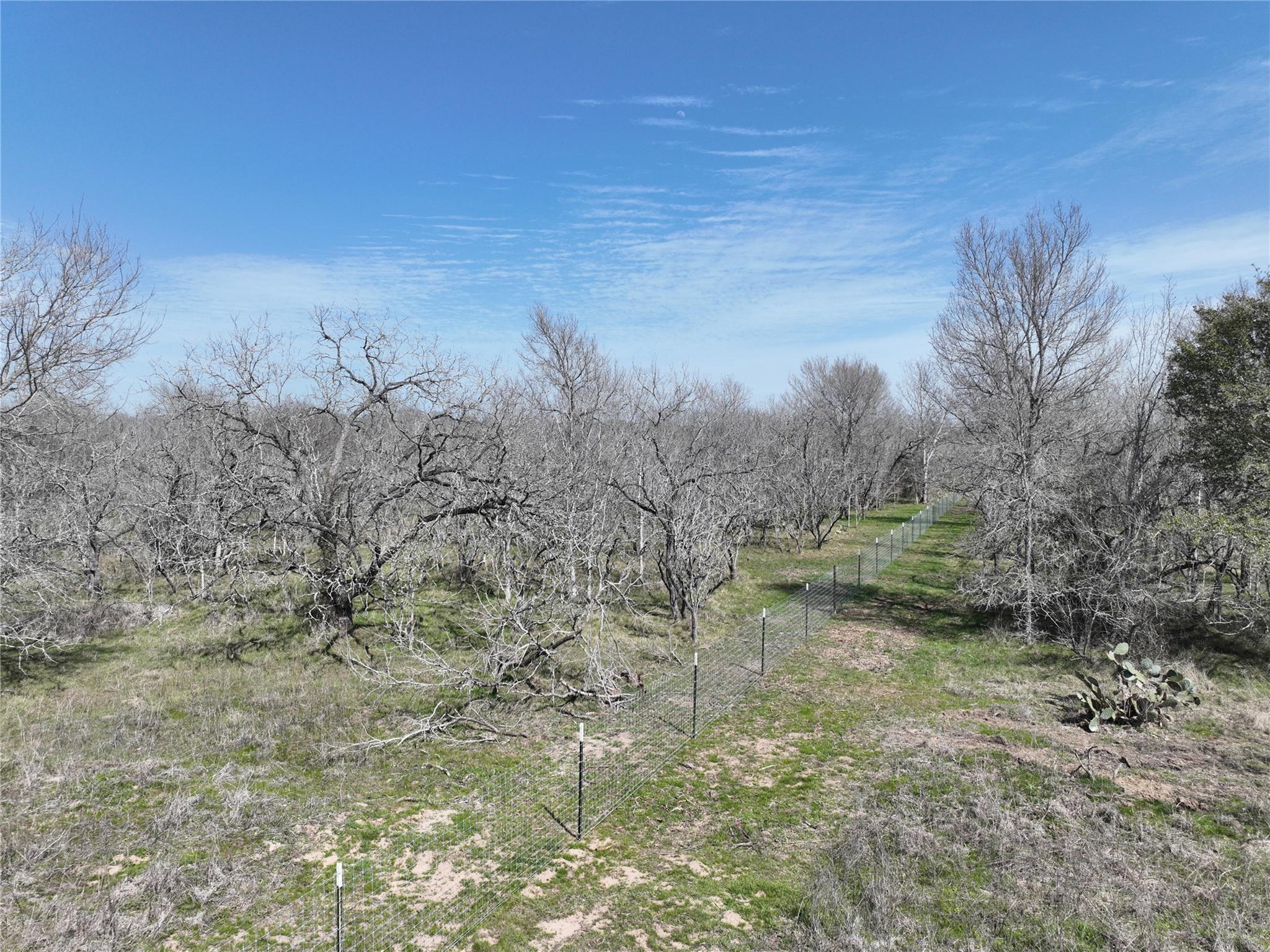 TBD Lot 8 CR 424 Rd, Waelder, TX 78629