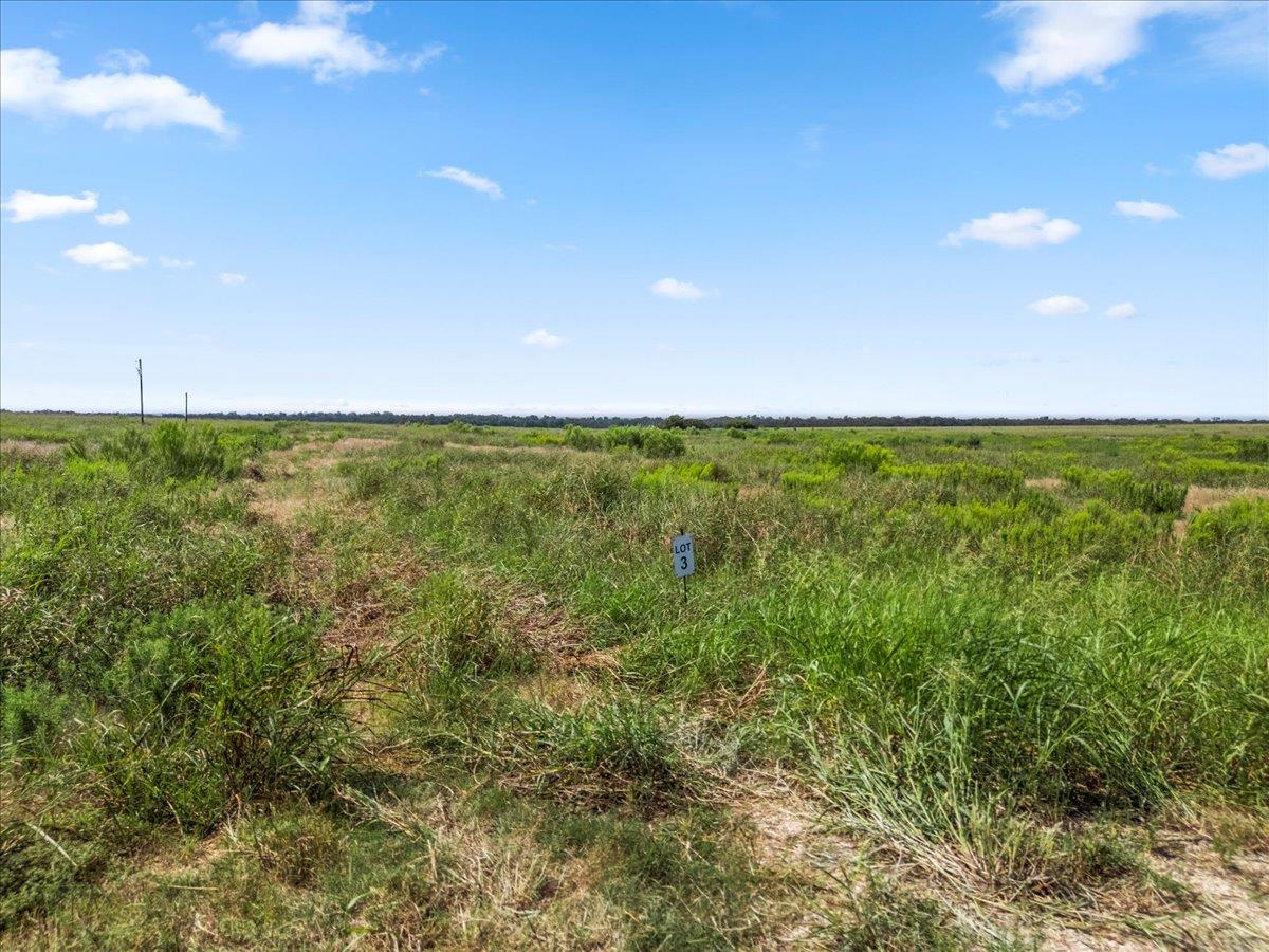 TBD FM 485, Buckholts, TX 76518