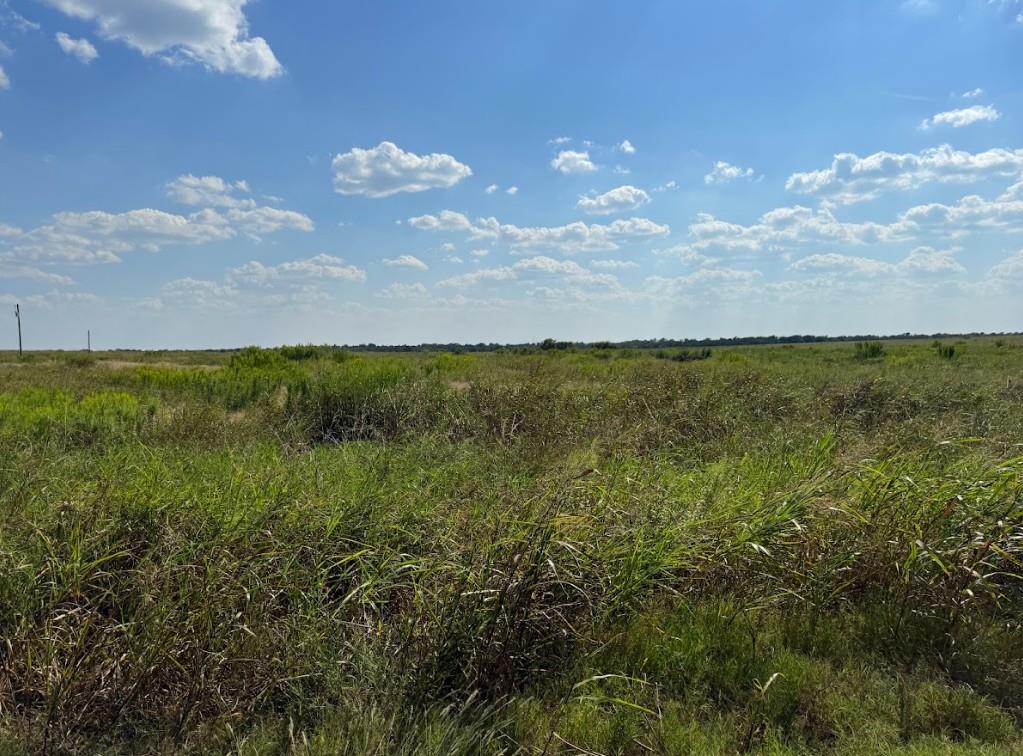 TBD FM 485, Buckholts, TX 76518