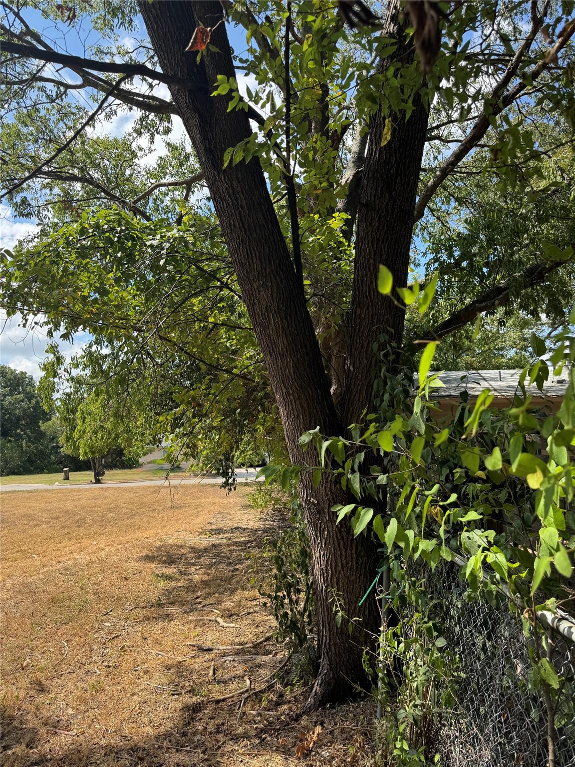 400 W Odell St, Austin, TX 78752