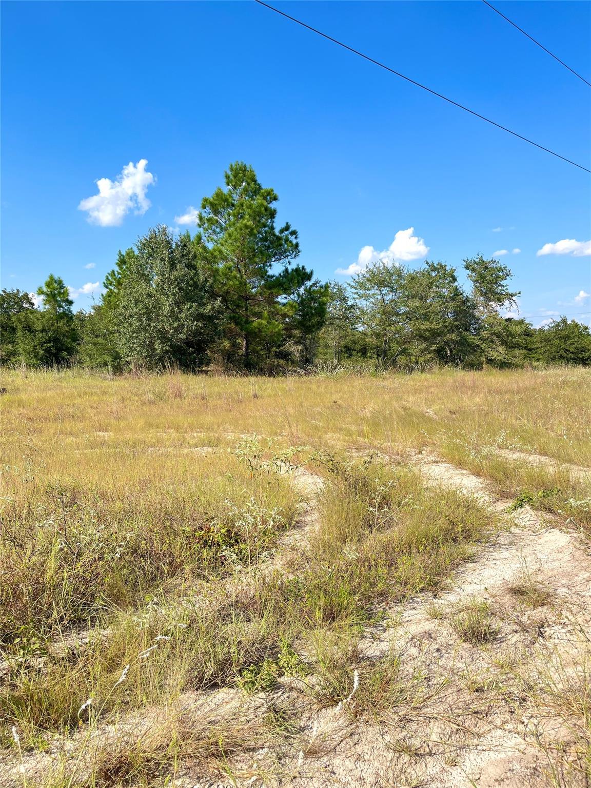 TBD Ponderosa Loop, Paige, TX 78659
