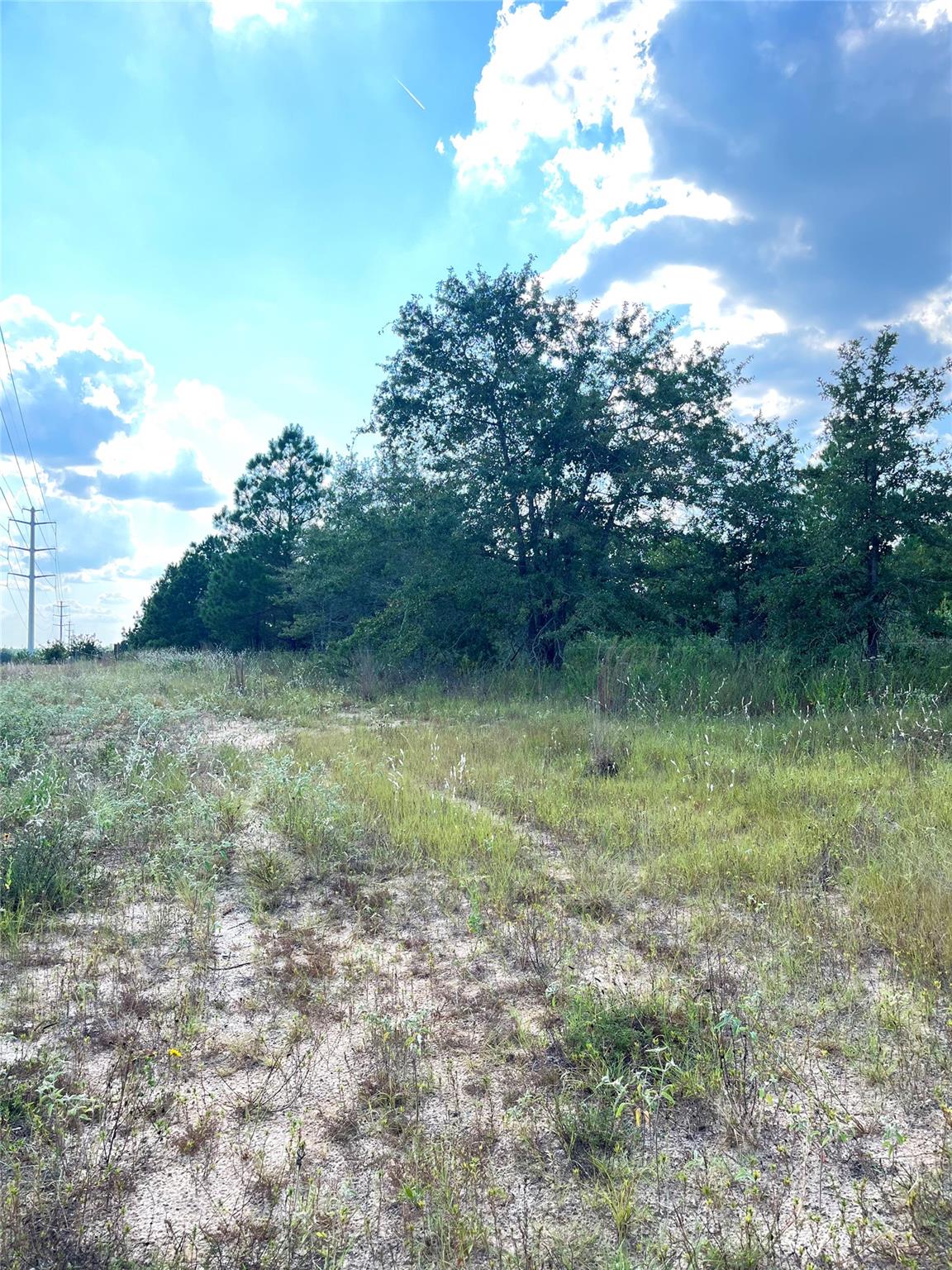 TBD Ponderosa Loop, Paige, TX 78659