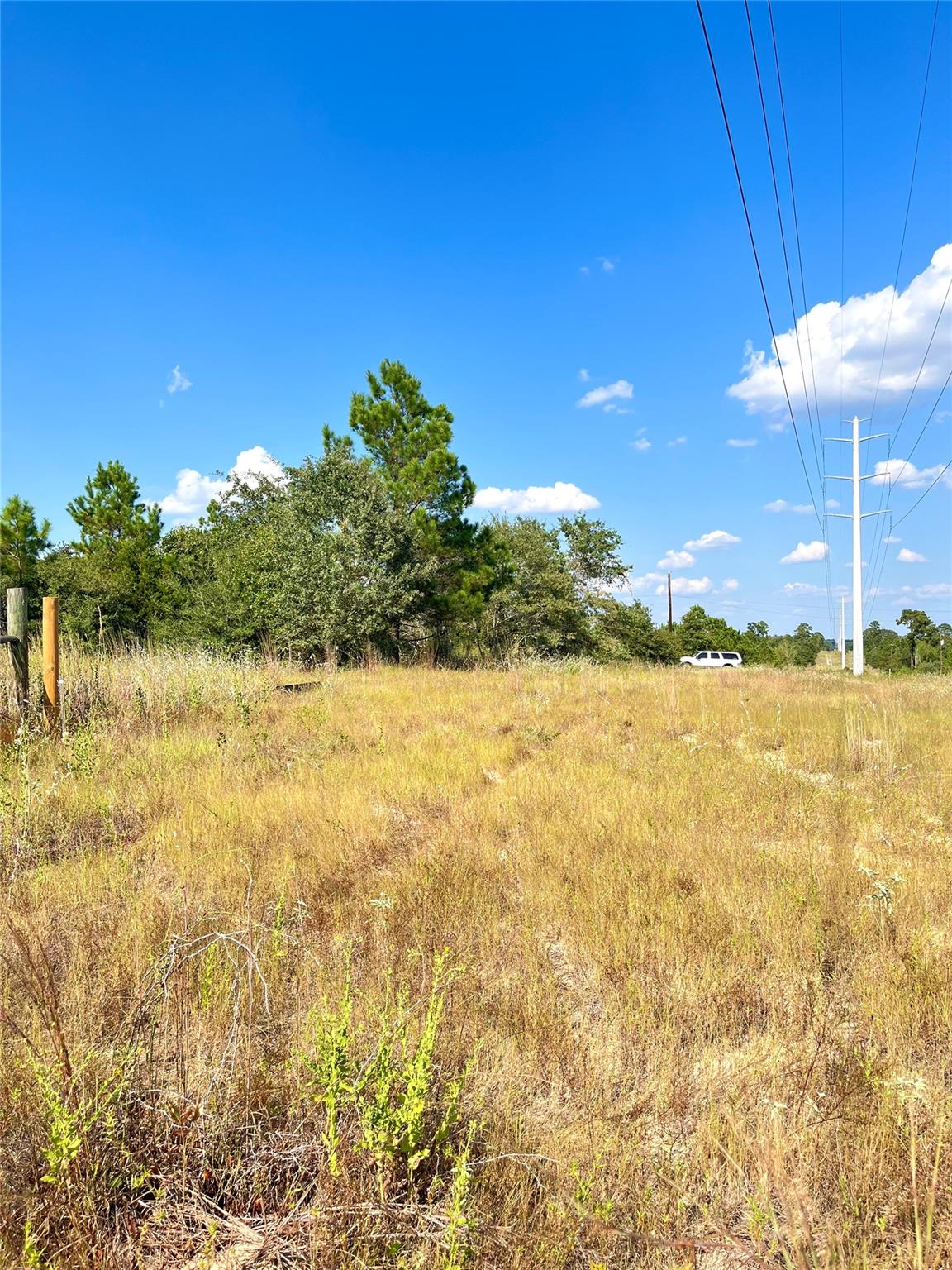 TBD Ponderosa Loop, Paige, TX 78659