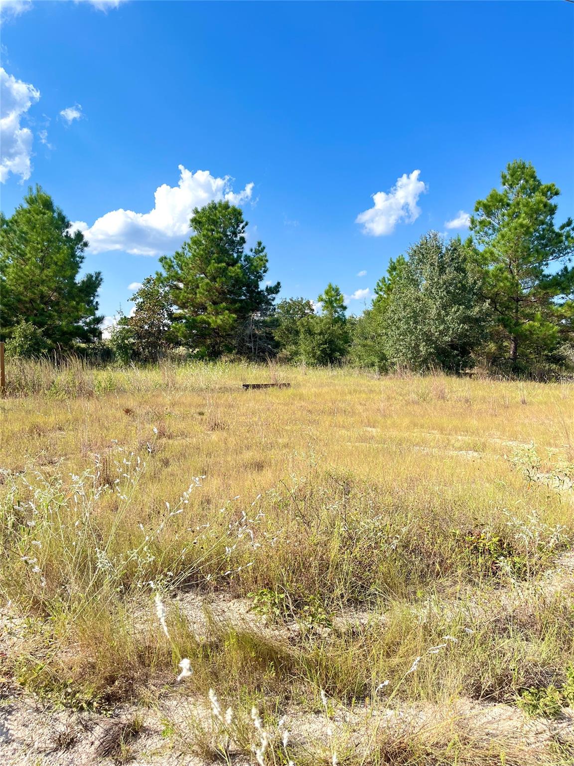 TBD Ponderosa Loop, Paige, TX 78659