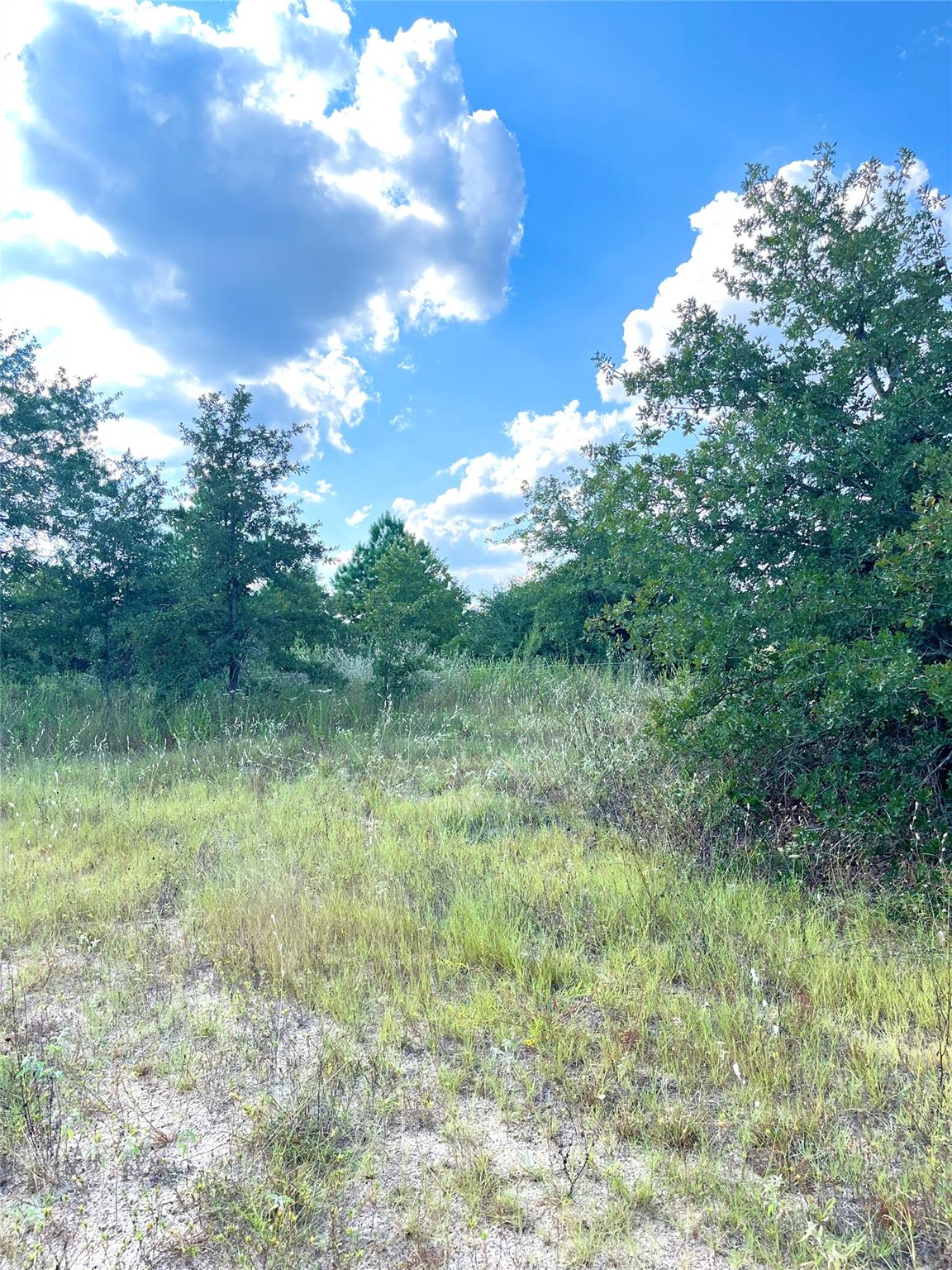 TBD Ponderosa Loop, Paige, TX 78659