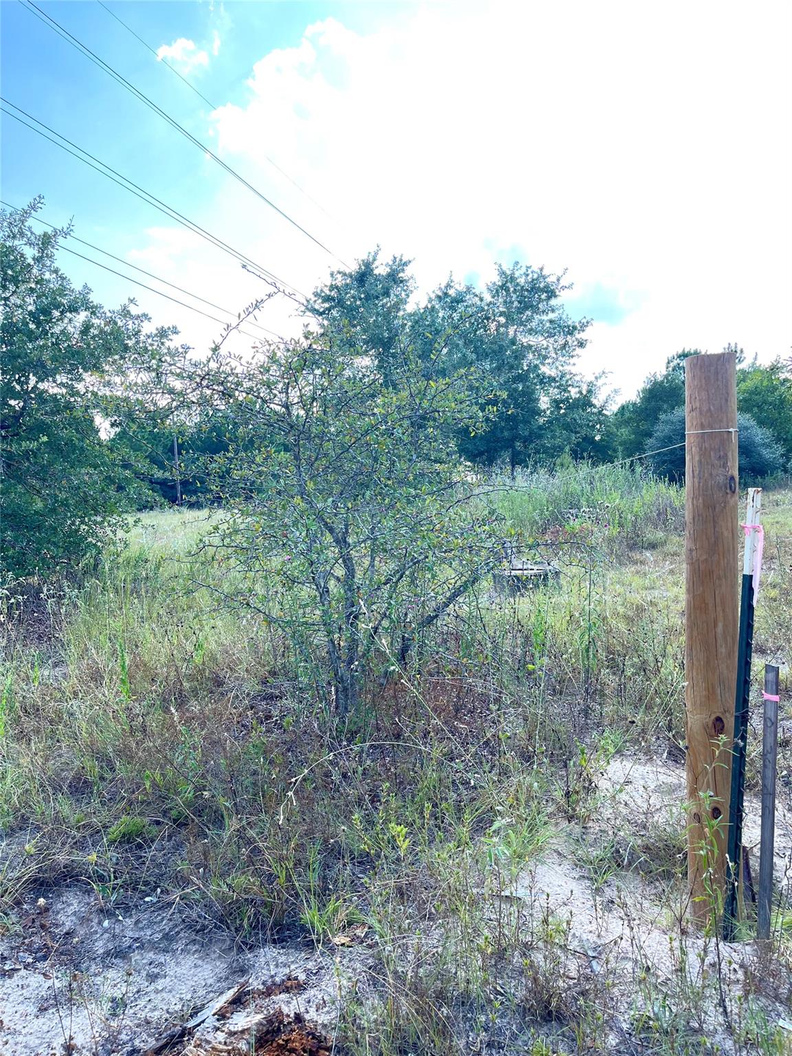 TBD Ponderosa Loop, Paige, TX 78659