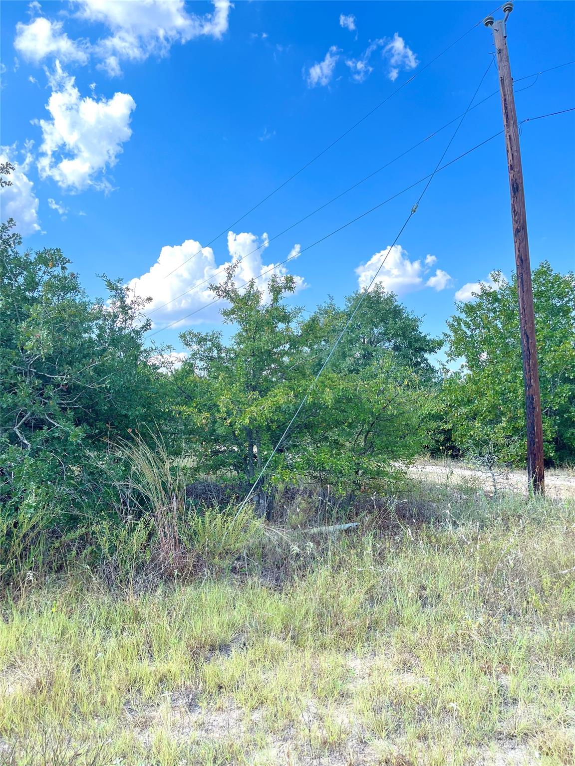 TBD Ponderosa Loop, Paige, TX 78659