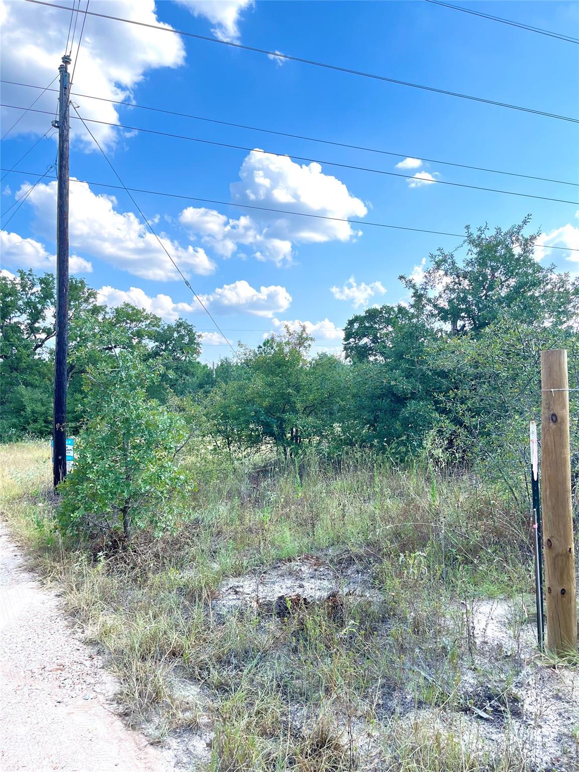 TBD Ponderosa Loop, Paige, TX 78659
