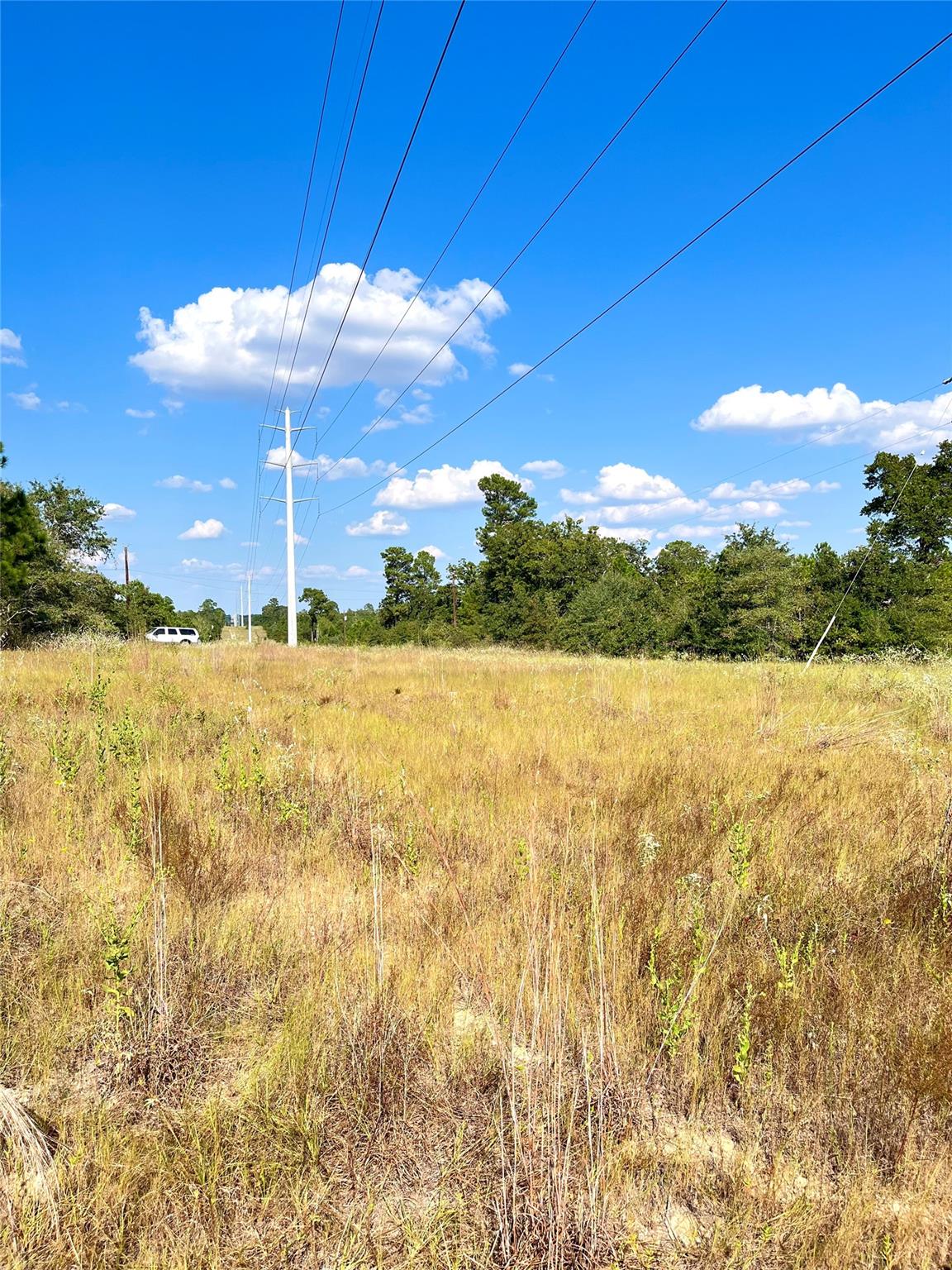 TBD Ponderosa Loop, Paige, TX 78659