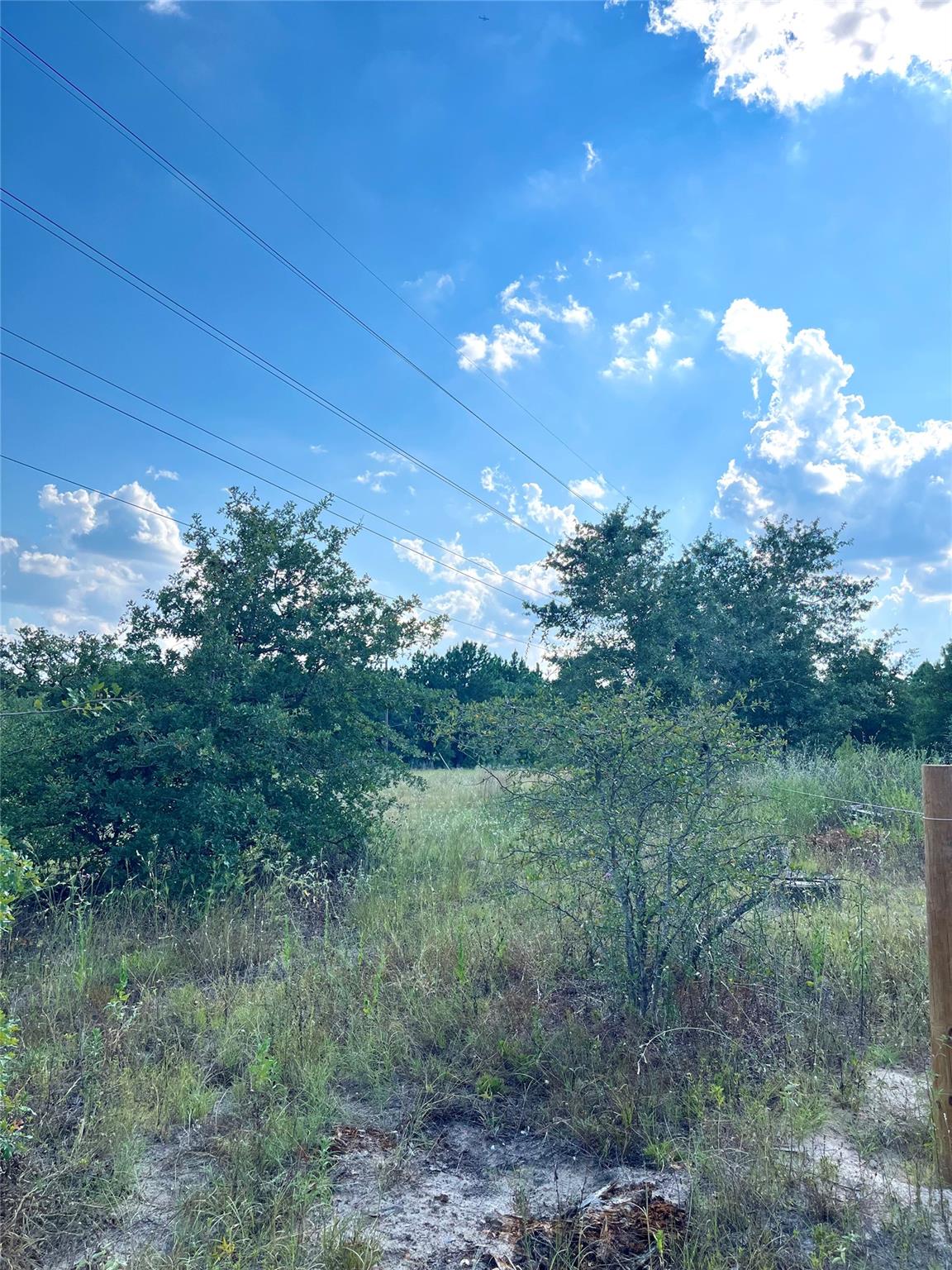 TBD Ponderosa Loop, Paige, TX 78659