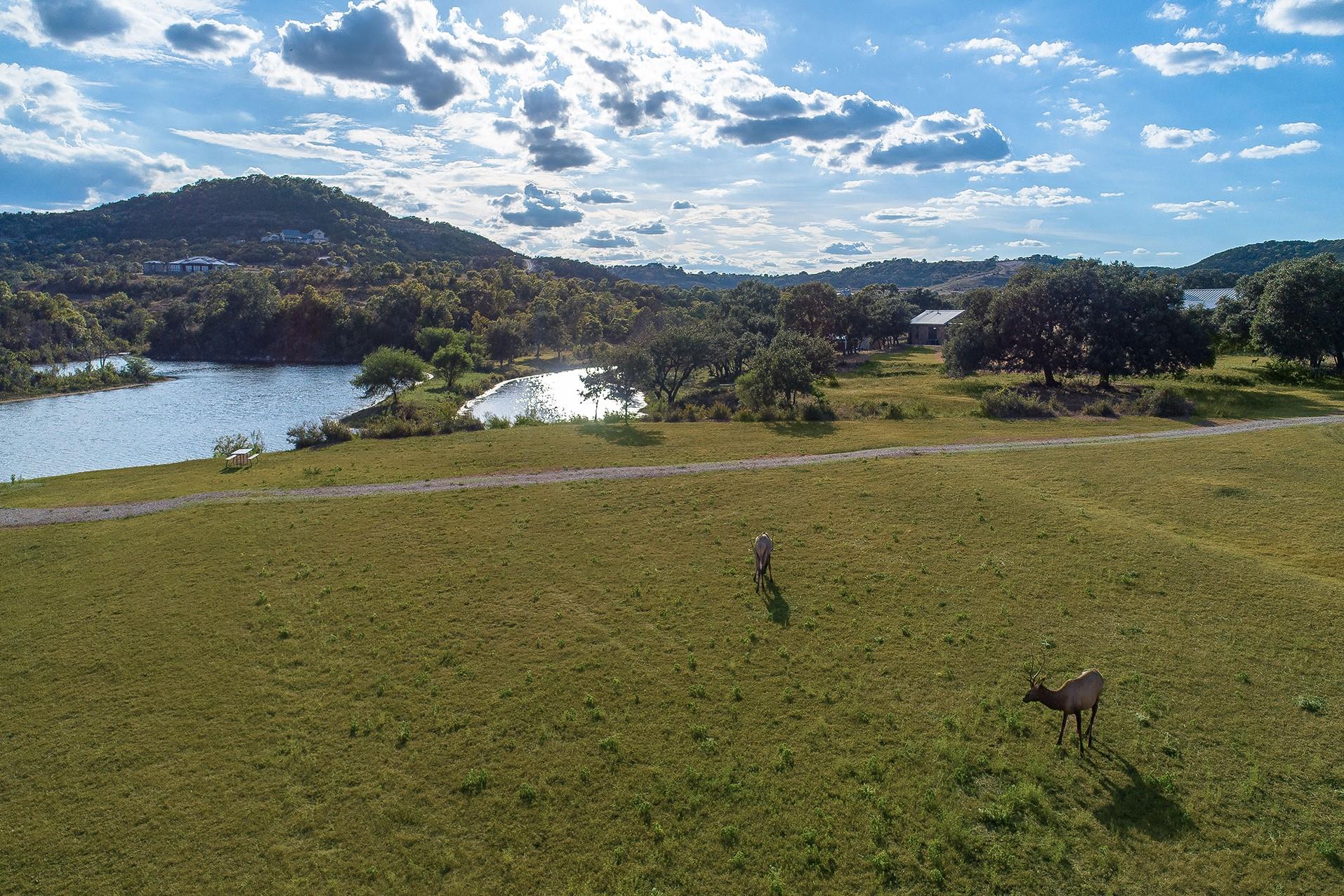 234 Elk Run Cv, Blanco, TX 78606