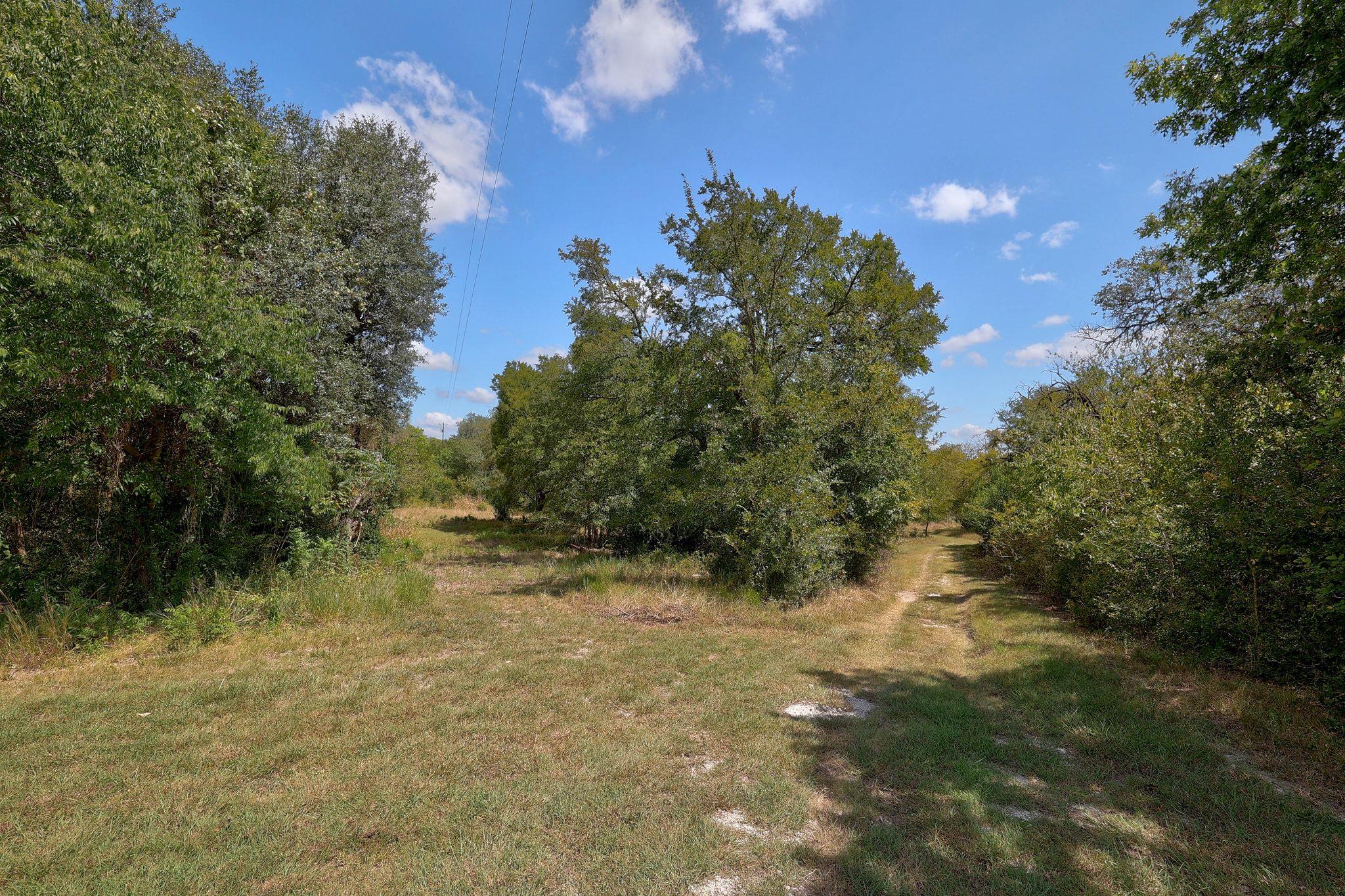 1120 Redbird Rd, Georgetown, TX 78626