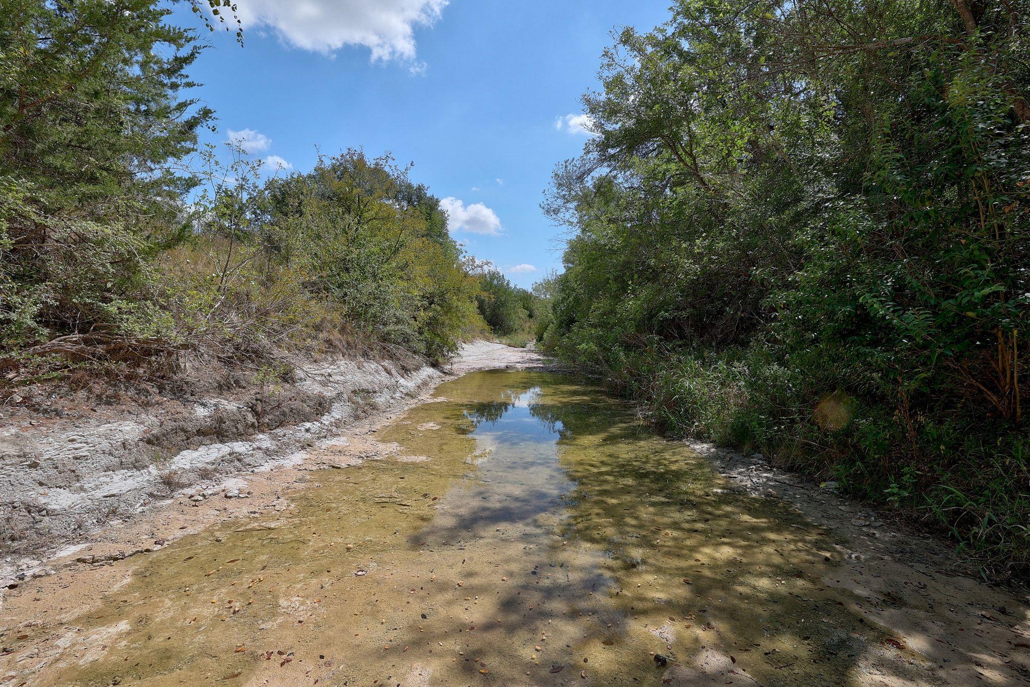 1120 Redbird Rd, Georgetown, TX 78626