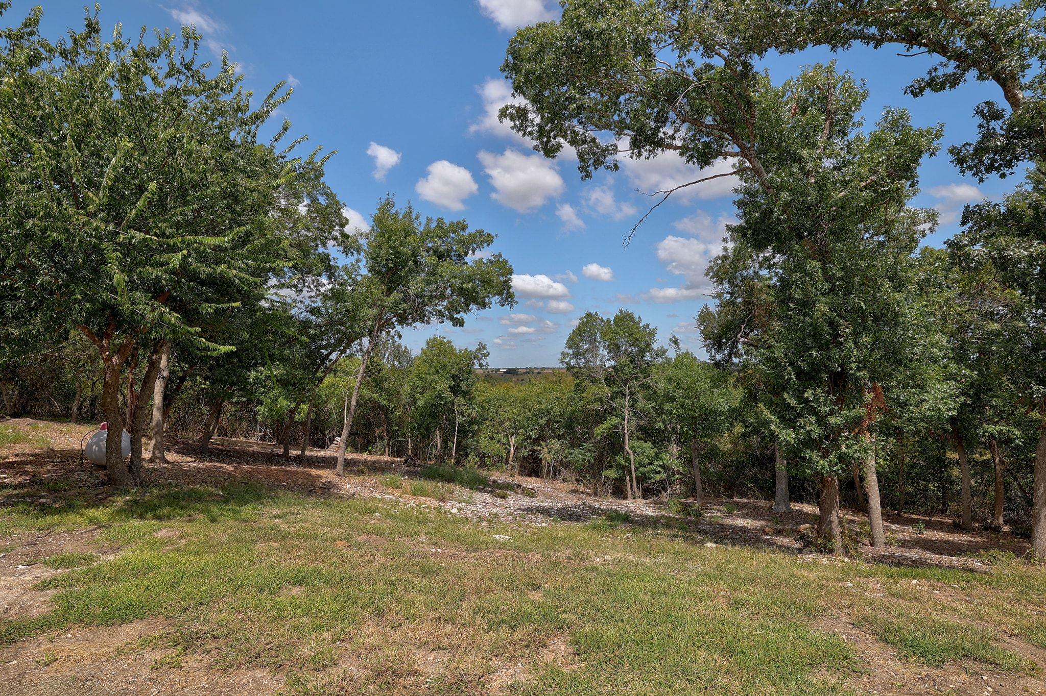 1120 Redbird Rd, Georgetown, TX 78626