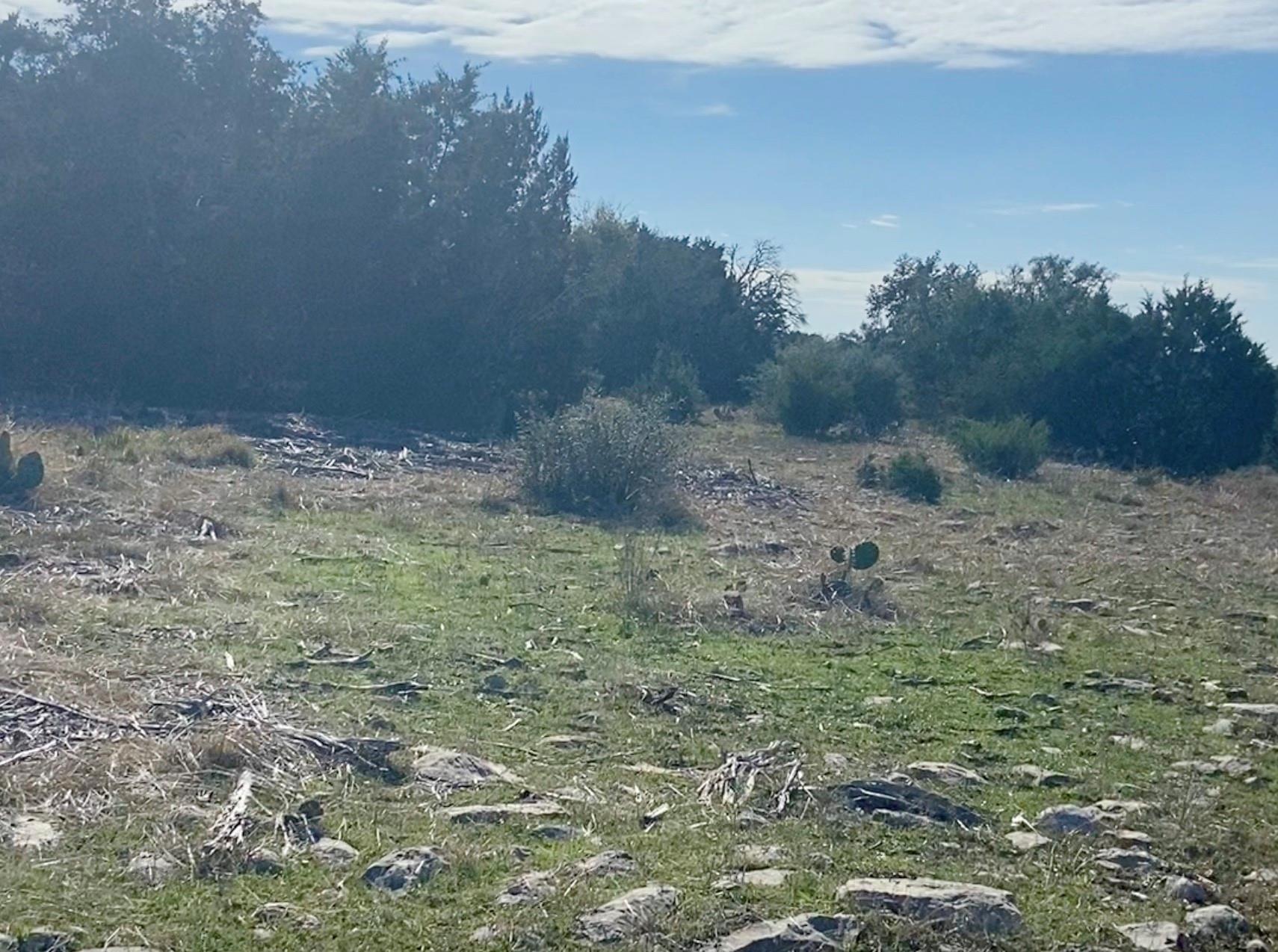 000000 River Shoals Dr, Kempner, TX 76539