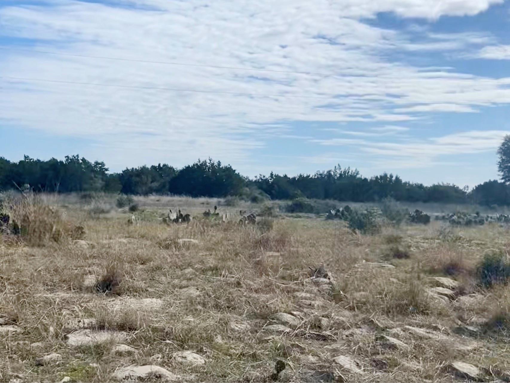 000000 River Shoals Dr, Kempner, TX 76539