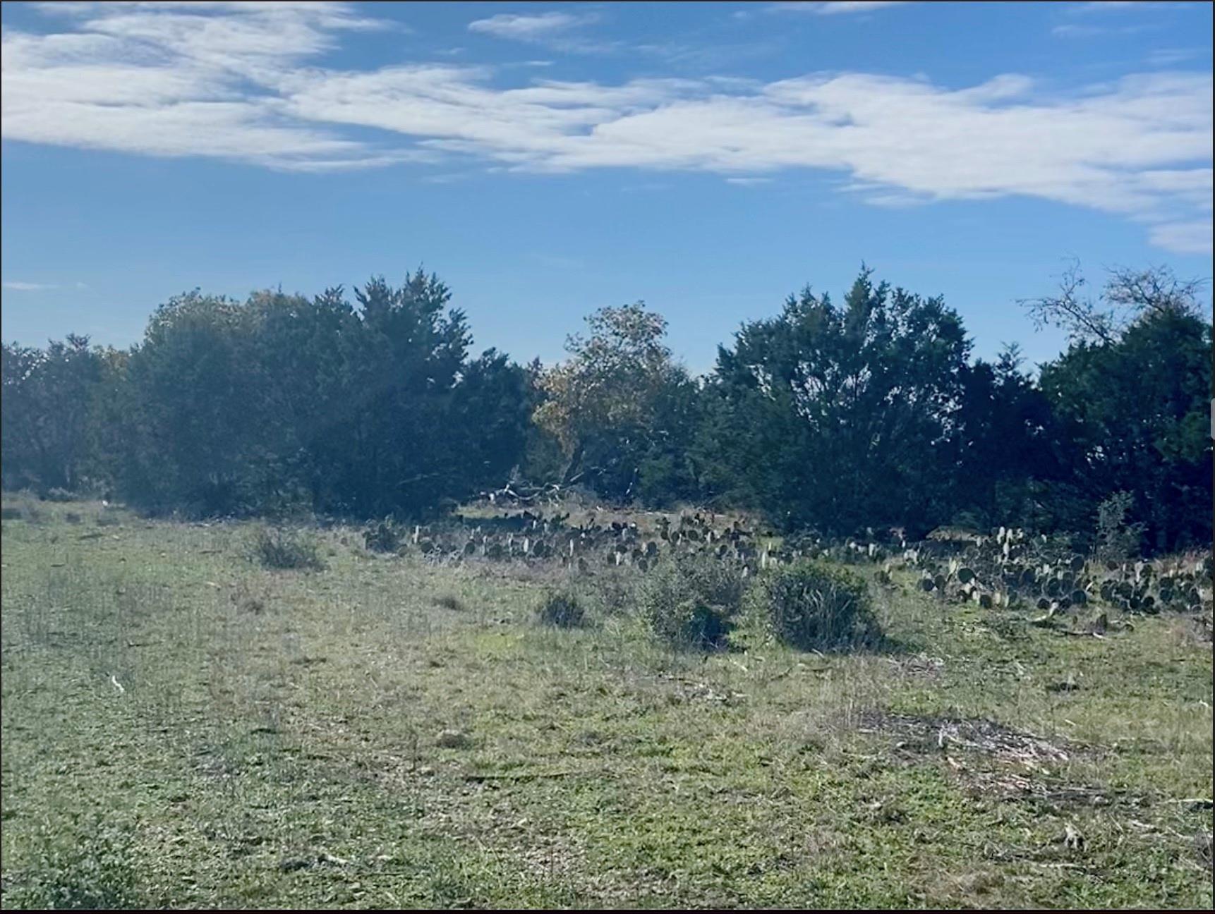 00000 River Shoals Dr, Kempner, TX 76539