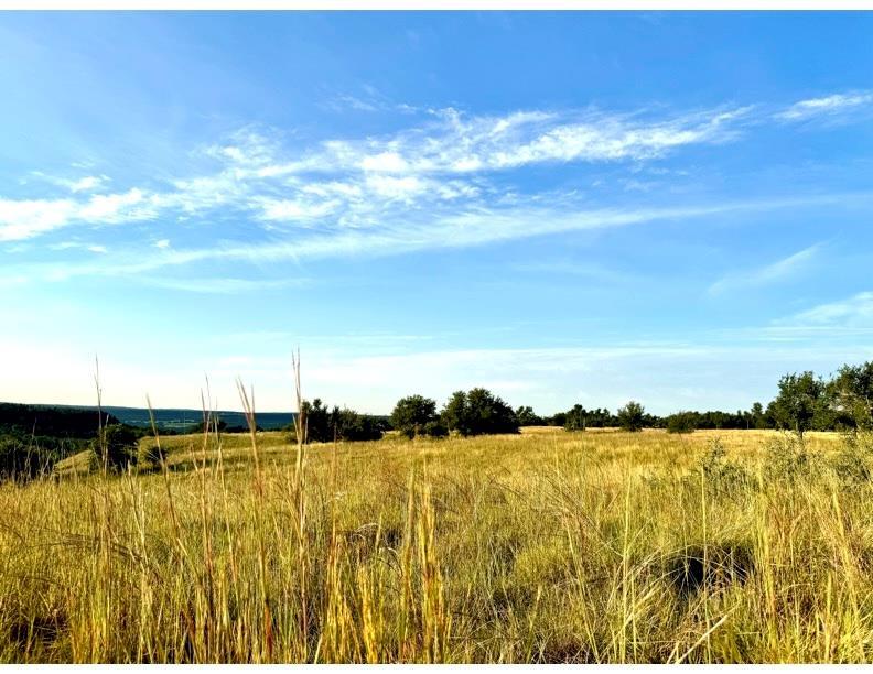 14087 Ranch Road 965 Highway, Fredericksburg, TX 78624