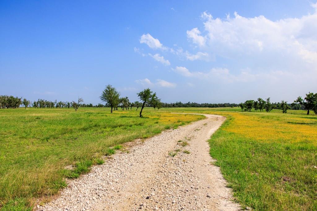 14087 Ranch Road 965 Highway, Fredericksburg, TX 78624