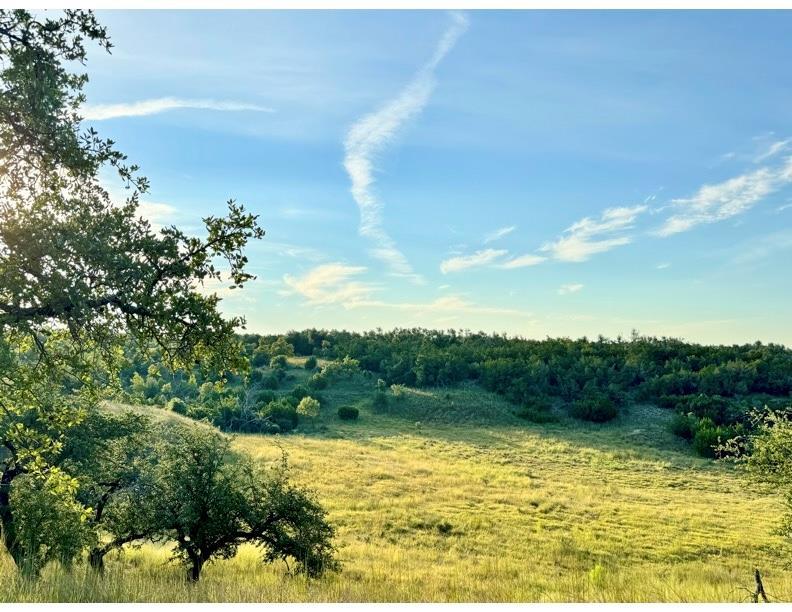 14087 Ranch Road 965 Highway, Fredericksburg, TX 78624