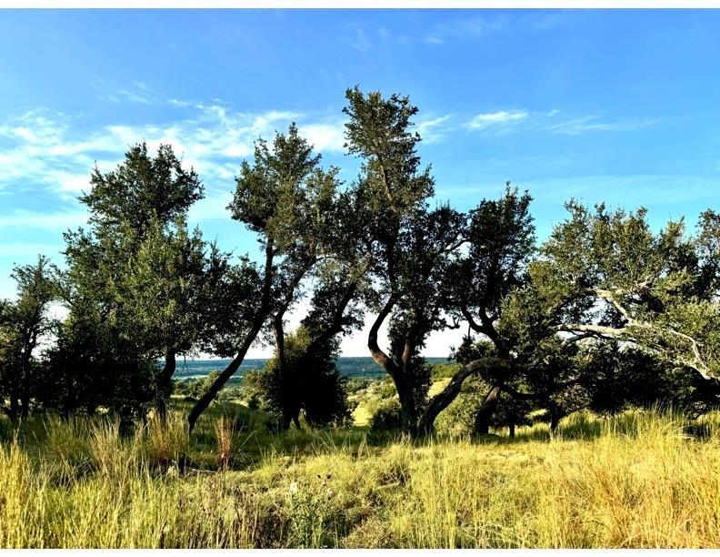 14087 Ranch Road 965 Highway, Fredericksburg, TX 78624