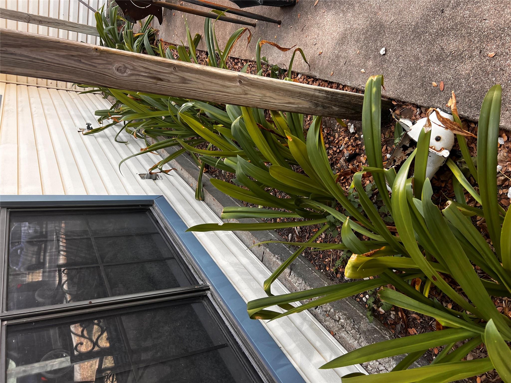 173 Misty Ln, Cedar Creek, TX 78612