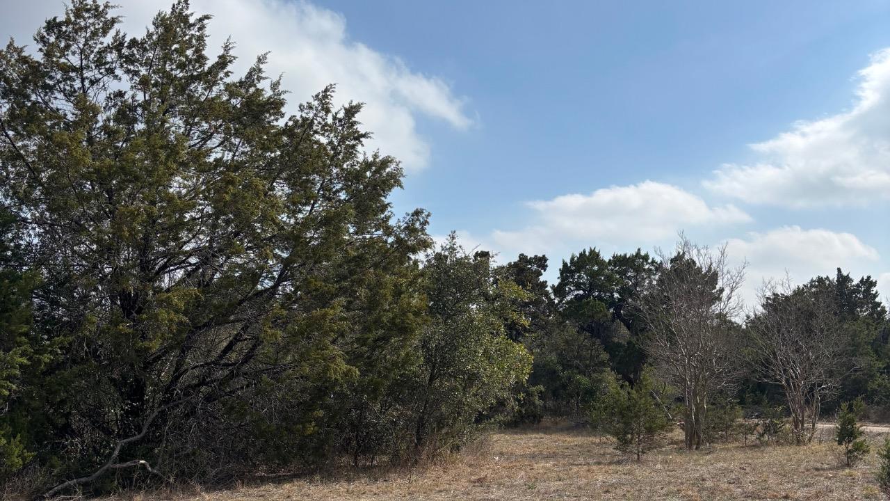 829A Castle Ridge Rd, Austin, TX 78746