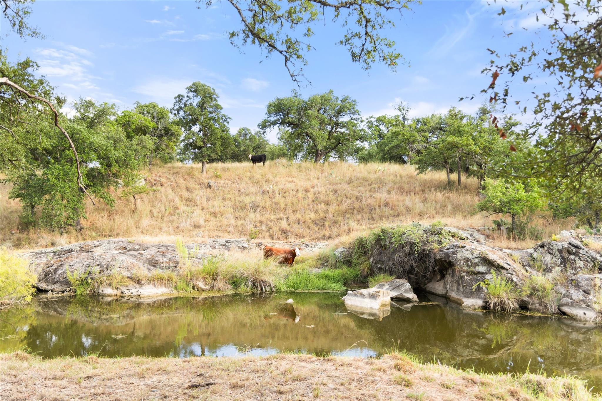 3503 Althaus-Davis Rd, Fredericksburg, TX 78624