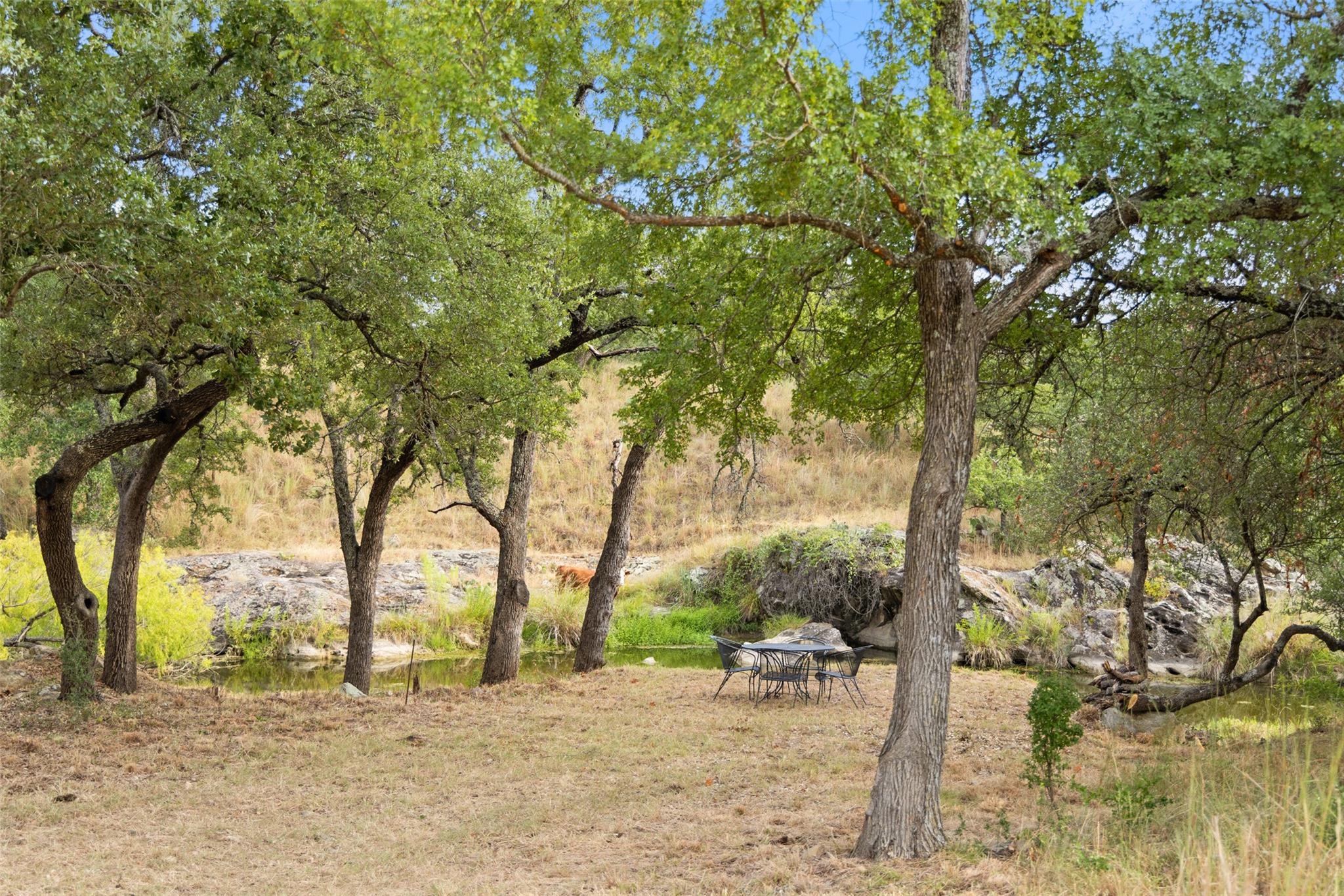 3503 Althaus-Davis Rd, Fredericksburg, TX 78624