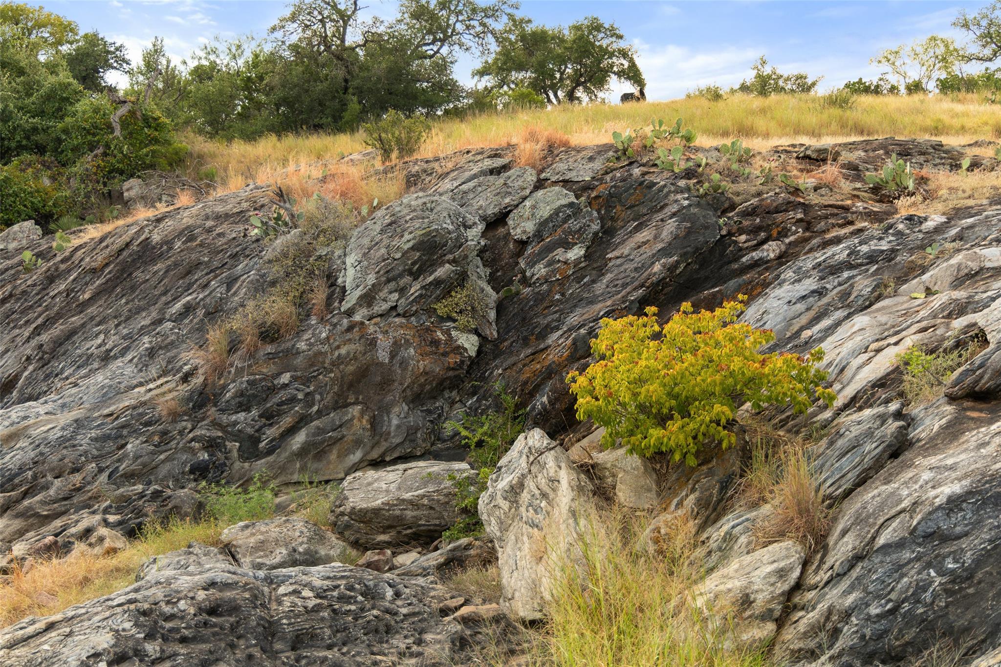 3503 Althaus-Davis Rd, Fredericksburg, TX 78624